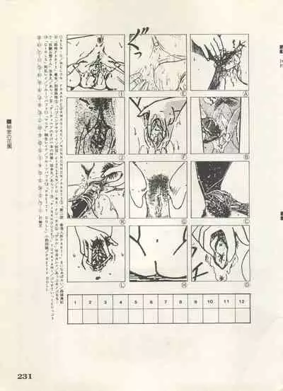 Bishoujo Shoukougun 6