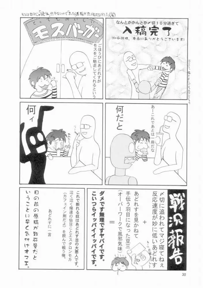 Gundam Seed - Emotion 29