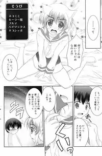 Manga Bangaichi 2009-01