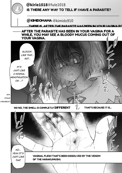 Stocking to Kiseichuu | Stocking & Parasites