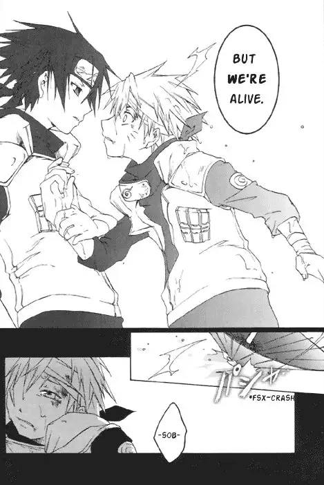 Gold Feather Silver Body