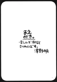 (C73) [TAROTS (Sawano Akira)] Hinakan. (Hayate no Gotoku! [Hayate the Combat Butler!])