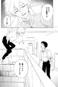 (C89) [cassino (Magarikoji Lily)] FLY ME TO THE MOON (Neon Genesis Evangelion)