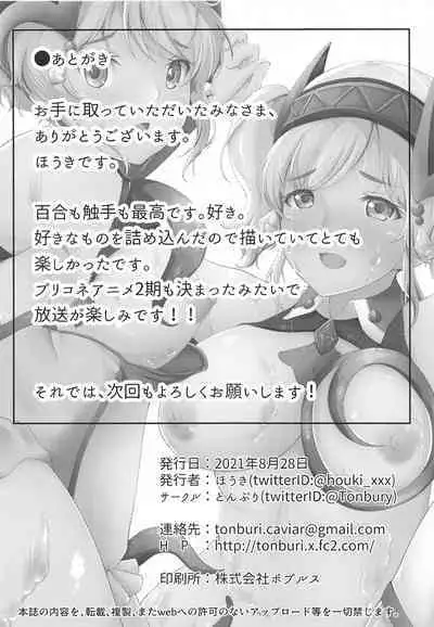 Yori to Akari ga Shokushu ni Okasareru Hon