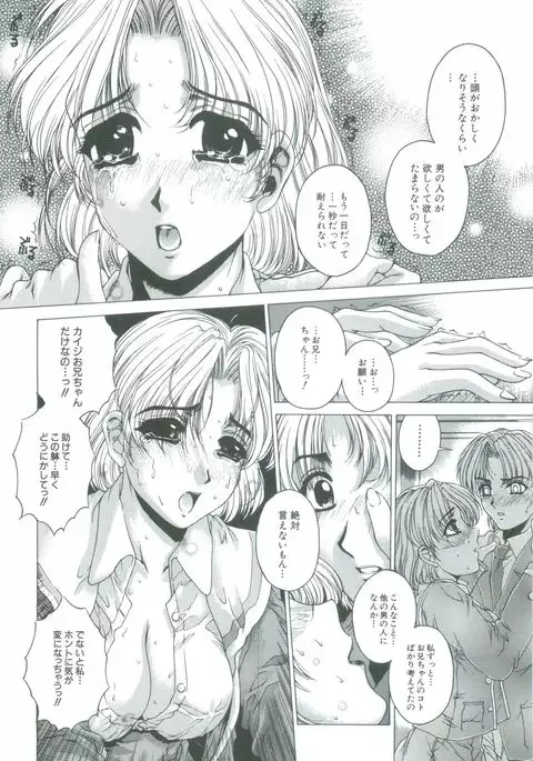 Kindan - Sonata of the prohibition