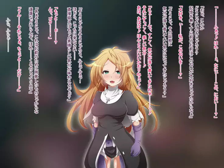 Hero Rengou Sennou Kanraku no Wana ~Battle Sister Hen~