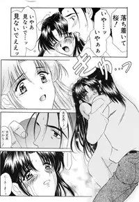 [Amayumi] Sakura Sakura