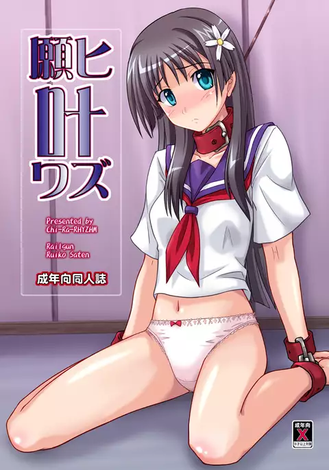 Negai Kanawazu Kanzenban