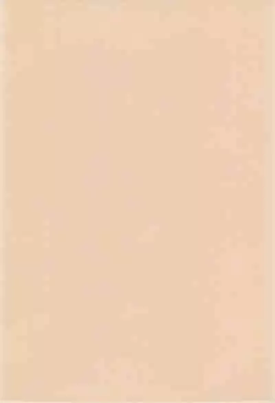 Comic Petit Laurier MC