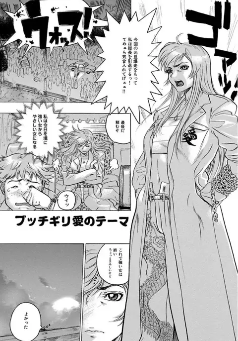 Beauty Hair Jisen Kessakushuu