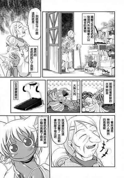 Baccha no Neko | 奶奶的小貓