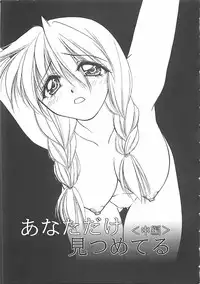 [Shizaki Masayuki] Abyssinian