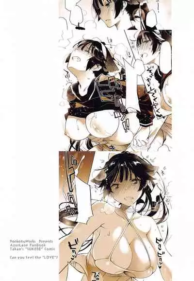 Kakin Shikikan, Fuku o Kau.