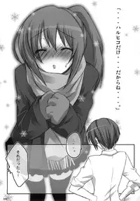 (C76) [nEetest (Yusya)] Kyonko no Matome (Suzumiya Haruhi no Yuuutsu)