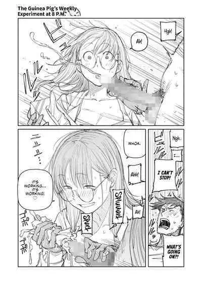 The Guinea Pig's Weekly Experiment at 8 P.M.