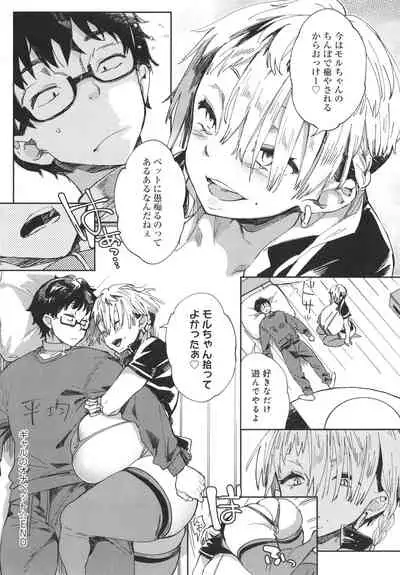 Paipai Mashimashi Gal Bitch