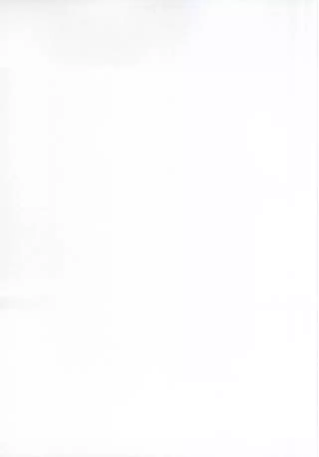 ふたりぐらしの日々