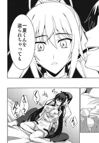(C81) [Type-G (Ishigaki Takashi)] Broom on the Frontline (Infinite Stratos)