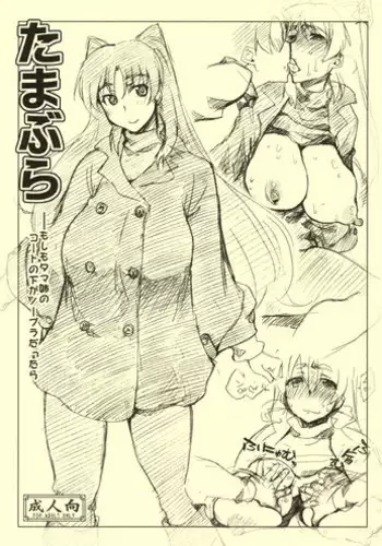 (C81) [Sago-Jou (Saura Isago)] Tamabura (ToHeart2) [English] =Tigoris Translates=