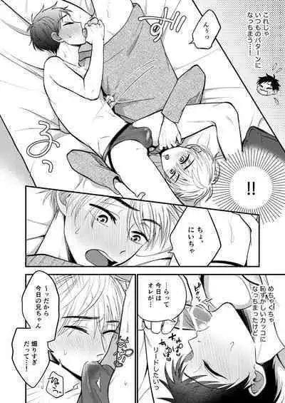 Ore mo Otouto mo Hentai ja Nai! Koto mo Nai!!