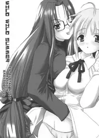 (C66) [BABYBED (SAS)] WILD WILD SUMMER (Fate/stay night)