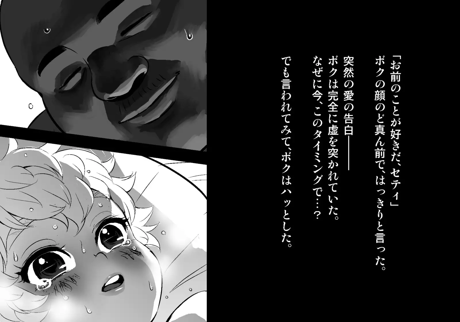 フェアリーセティ