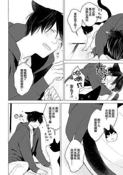 恋爱中的猫咪想被抚摸