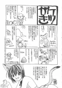 [Shizaki Masayuki] Abyssinian
