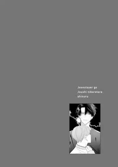 JosouLayer ga Joushi ni Baretara Shinuru | 女装马甲被上司扒掉的话还不如死了算了 Ch. 2-4