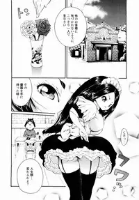 [Mita Ryuusuke] Rose Rosse