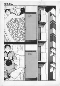 [Shirono Akira] Kanjuku Fujin