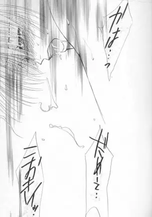 Papa Wa Musician Mama Wa J-Leaguer 2