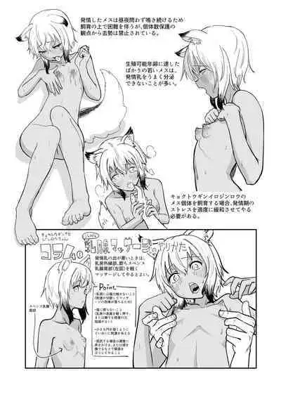 Zukai Kyokutou Giniro Jinrou-chan no Kaikata Handbook Hatsujouki no Osewa Hen