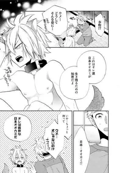 Wolves and Erotic Things