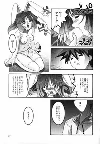 [Himehachi] Radical Vector