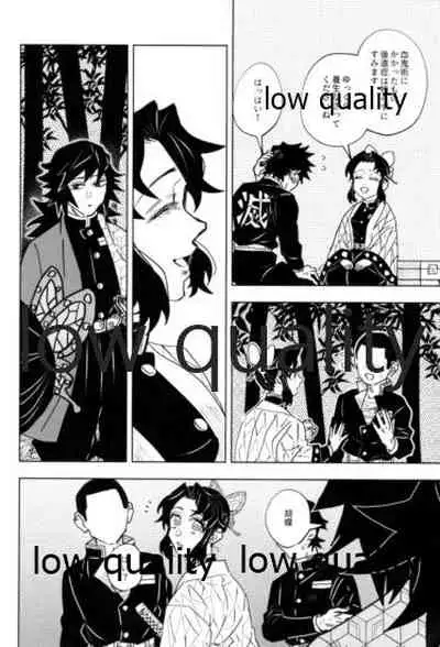 フクシアの花びら