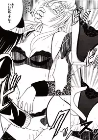 [Crimson Comics (Carmine)] Sephiria Hard (Black Cat)