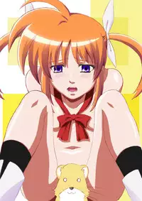 [Fukayama Akira] Doujin 1 (Mahou Shoujo Lyrical Nanoha)