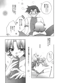 [Suzudama Renri] purple agate