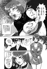 COMIC Shitsurakuten 2007-11