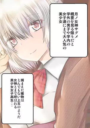 女子高生サグメ 痴漢電車編