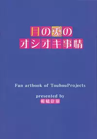 (C91) [Kankituteien (Mikan)] Tsuki no Usagi no Oshioki Jijou (Touhou Project)