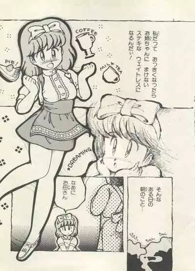 Bishoujo Shoukougun 6