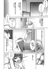 [Suzudama Renri] purple agate