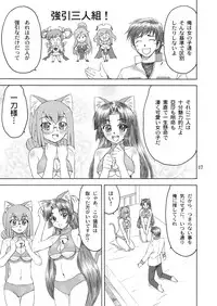 [Yasrin-Do (Yasu Rintarou)] Nyan Nyan * Shao Nyan (Shin Koihime Musou) [Digital]