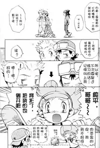 不能剥开的秘密（デジタルモンスター）