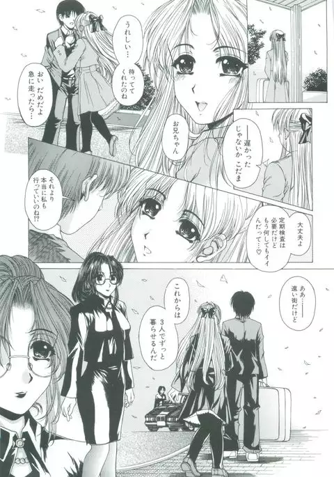 Kindan - Sonata of the prohibition