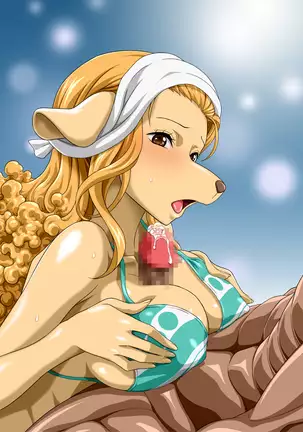 Nel-Zel Formula Yuthirasuru