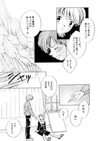 [Nagareboshi Hikaru] Tokubetsu na Hi