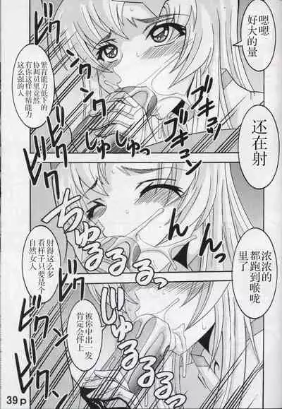 [St. Rio (Kitty, Kouenji Rei)] COSMIC BREED 5 (Gundam SEED DESTINY) [Chinese] [零食汉化组]